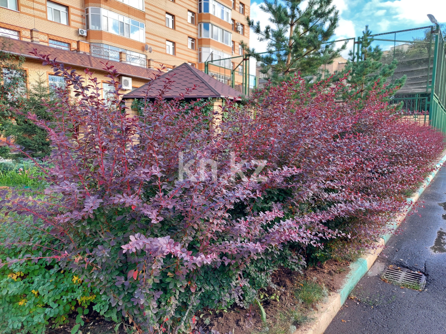 Продажа 1-комнатной квартиры, 72 м², ул. Аманжолова, дом  41 в Караганде - фото 2