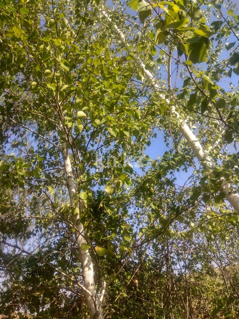 Продажа дачи, 7.55 сот. в Алматы - фото 3