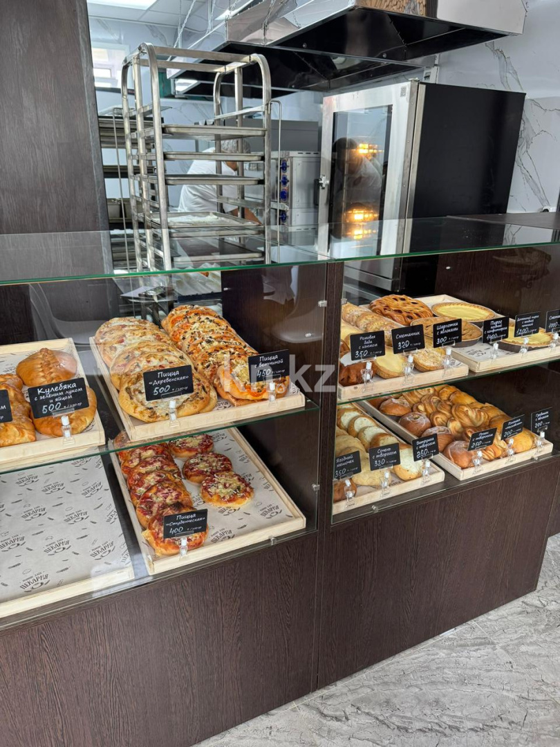 Продажа бизнеса, 111.1 м² в Акмолинской области - фото 2