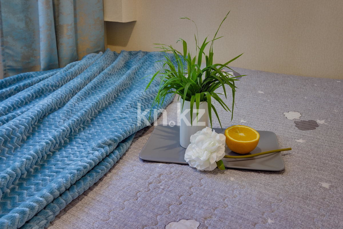 Аренда 1-комнатной квартиры посуточно, 10 м², мкр-н 1, дом  76 в Алматы - фото 2