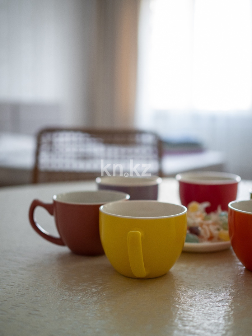 Аренда 1-комнатной квартиры посуточно, 42 м², ул. Навои, дом  208 - ул. Торайгырова в Алматы - фото 17