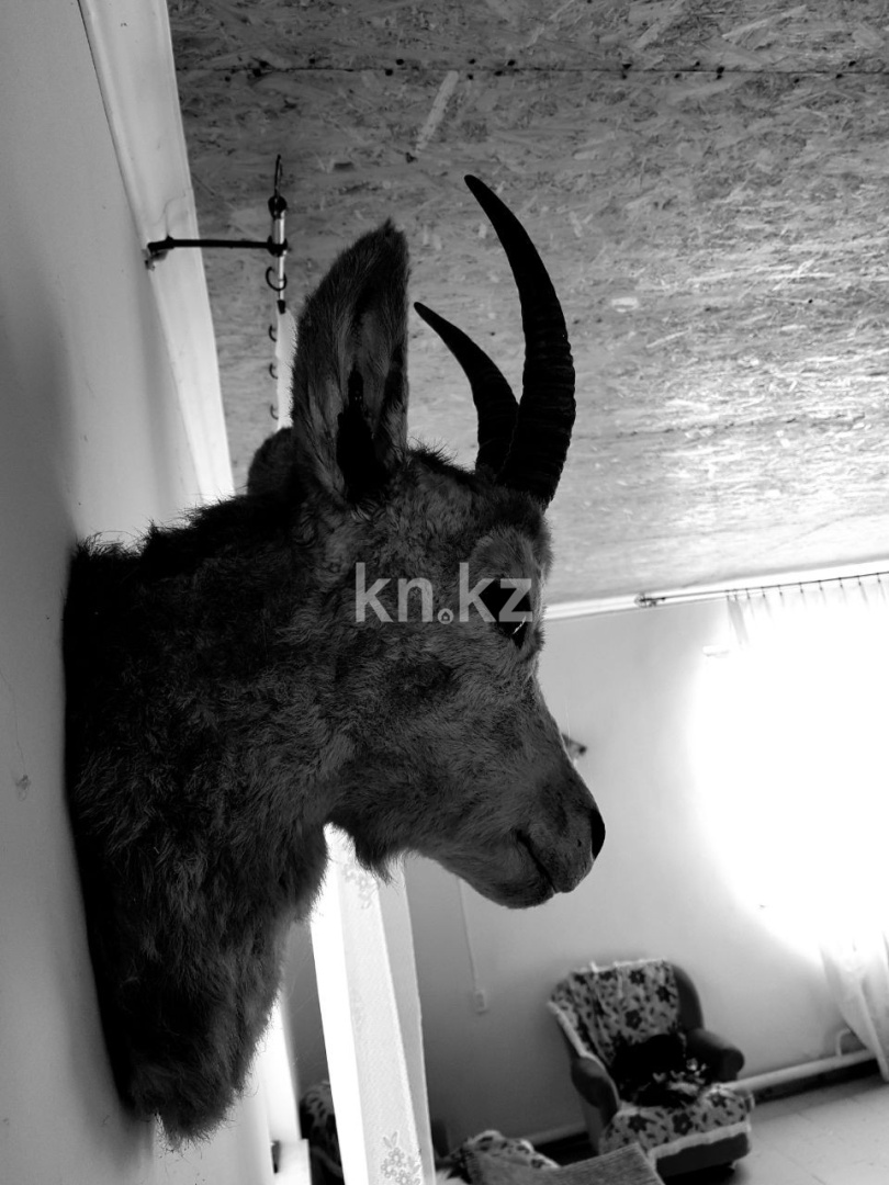 Продажа земельного участка, 300 га, Река Или в Алматы - фото 13