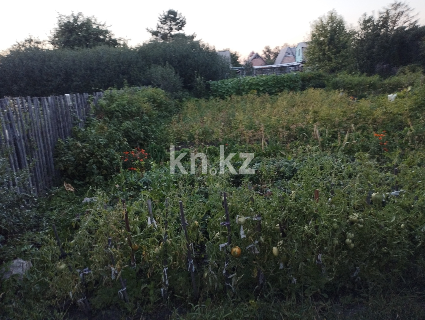Продажа дачи, 6 сот. в Караганде - фото 7