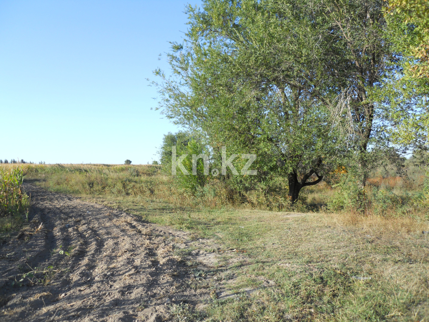 Продажа земельного участка, 10 га, Жанашар в Алматинской области - фото 2