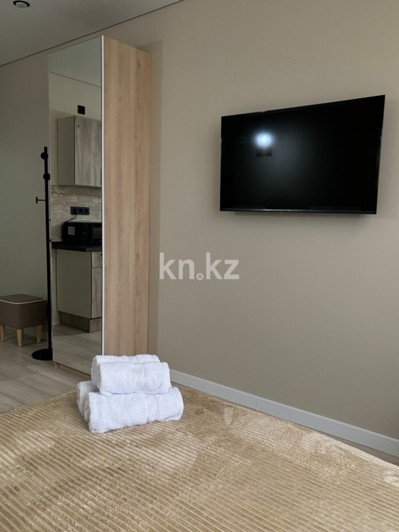 Аренда 1-комнатной квартиры посуточно, 27 м² в Алматинской области - фото 11