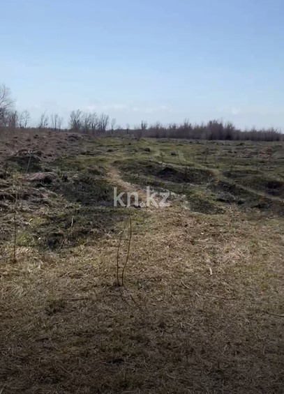 Продажа участка, 81 га в Алматинской области - фото 4