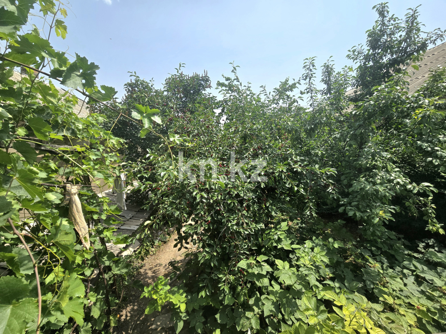 Продажа 4-комнатного дома, 120 м², Бейбарыс, дом  19 в Шымкенте - фото 6