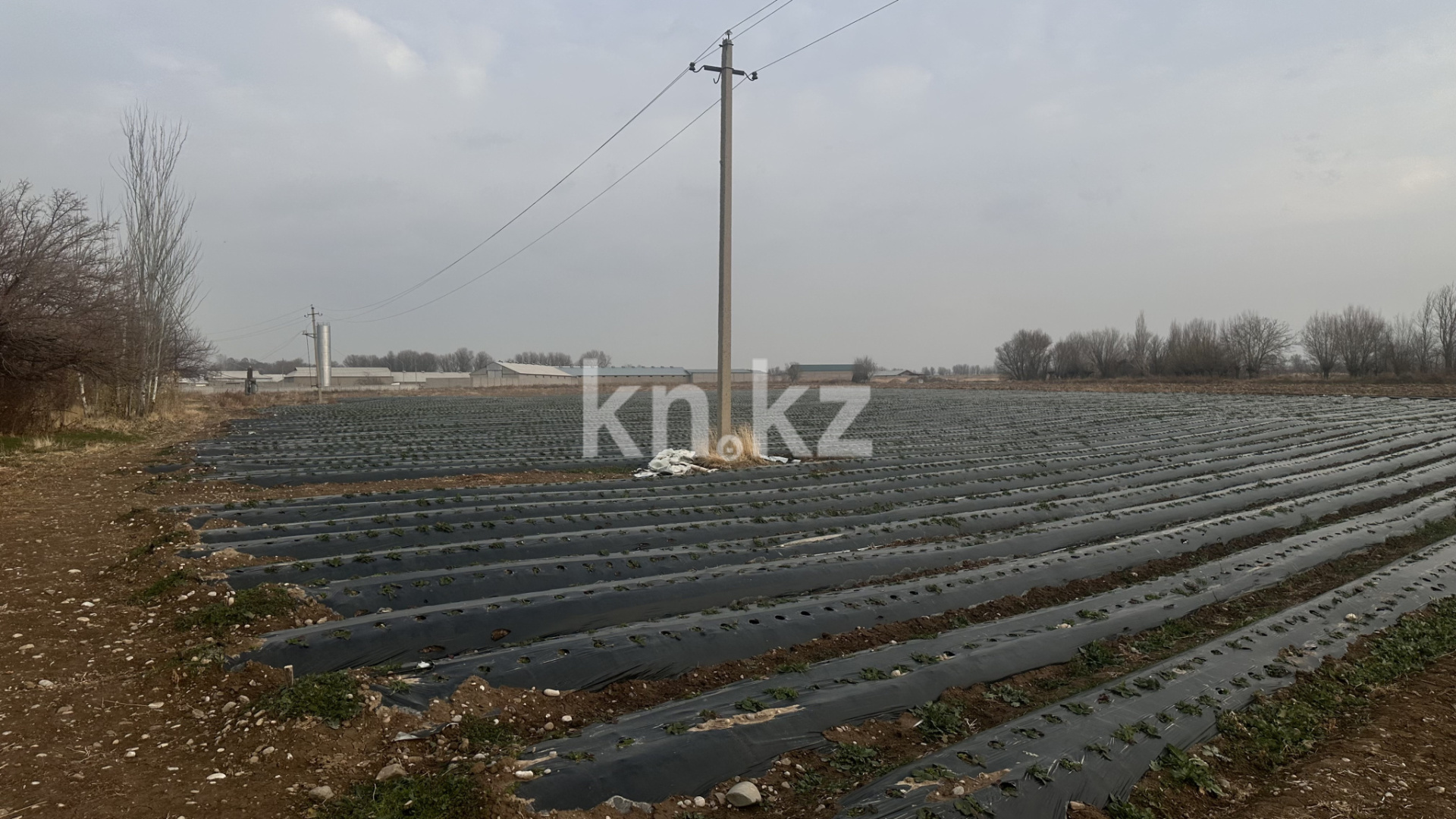 Продажа участка, 4.32 га в Шымкенте - фото 2