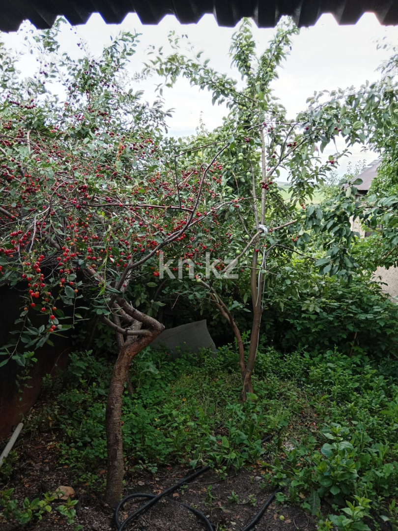 Продажа дачи, 21 сот. в Темиртау - фото 16