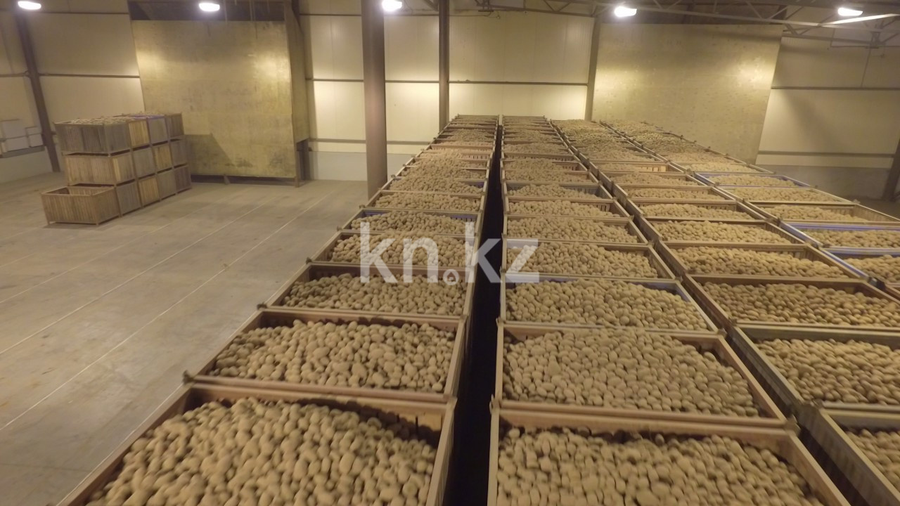 Продажа базы, 300 сот. в Алматы - фото 2