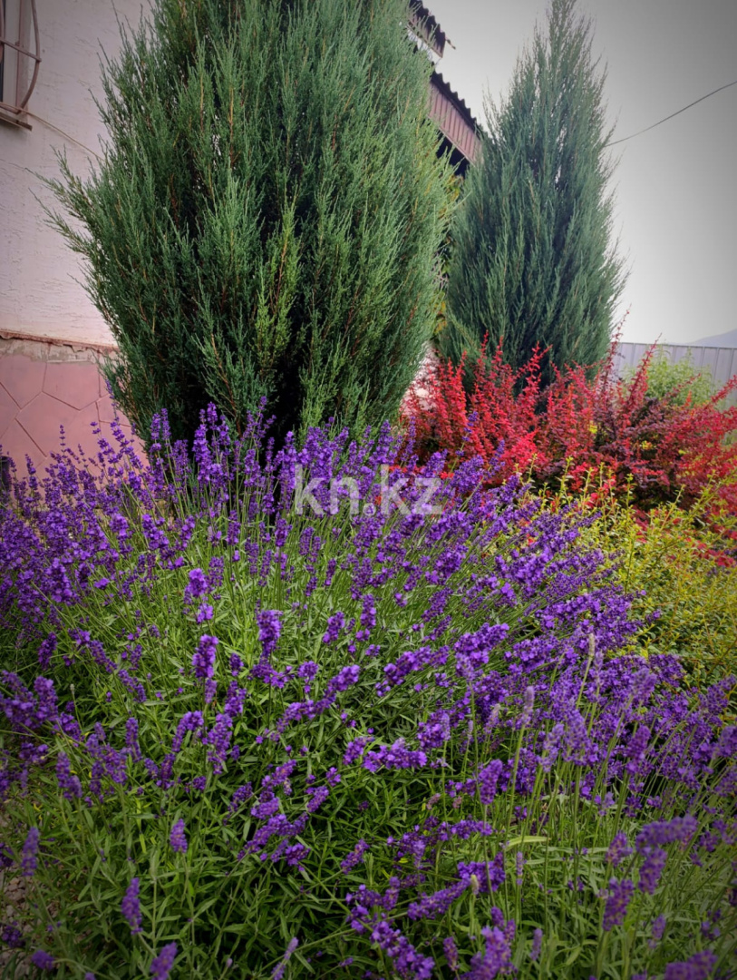 Продажа 4-комнатного дома, 128 м², Талапкер в Алматинской области - фото 3