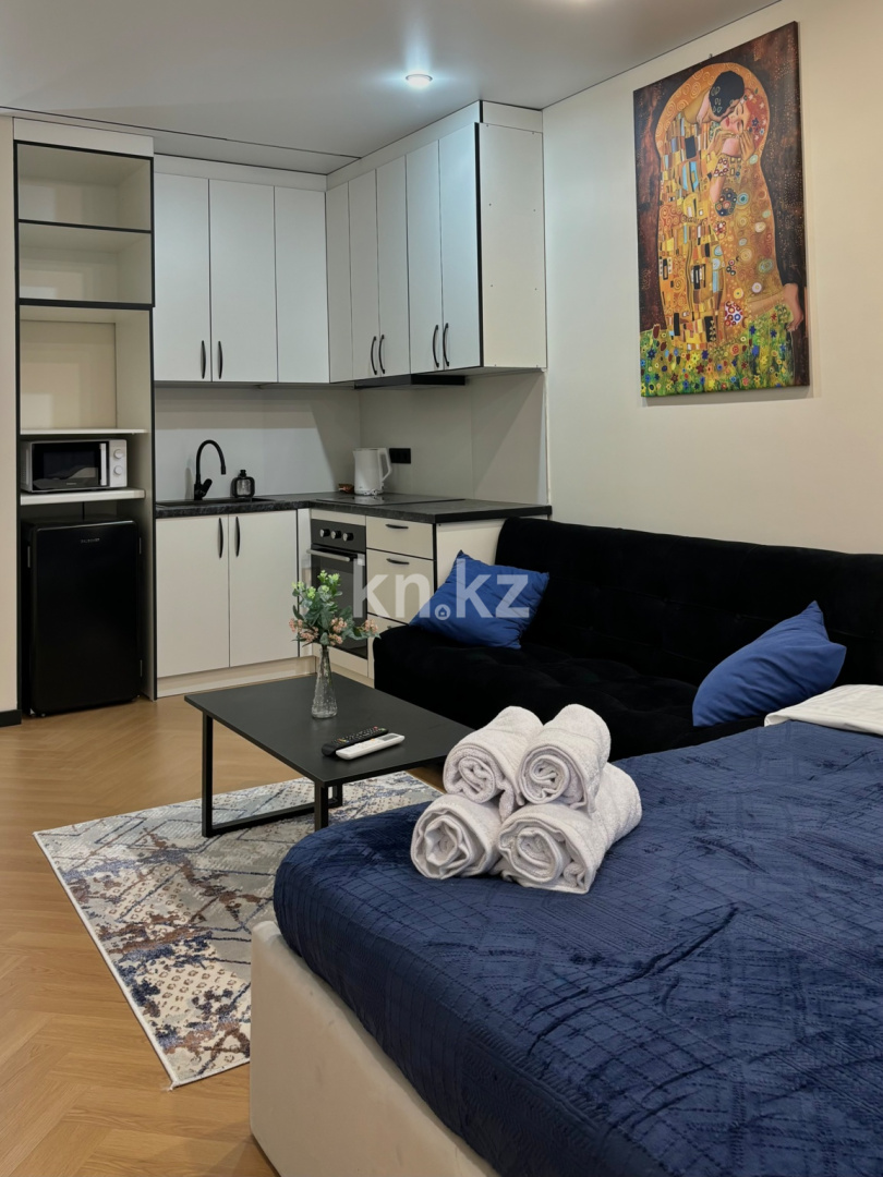Аренда 1-комнатной квартиры посуточно, 27 м² в Алматинской области - фото 3