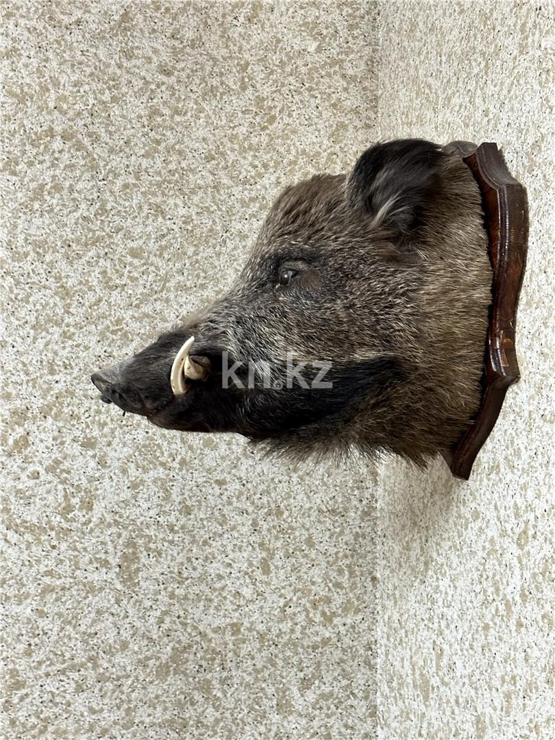 Продажа 9-комнатного дома, 366.9 м², ул. Крылова в Караганде - фото 44