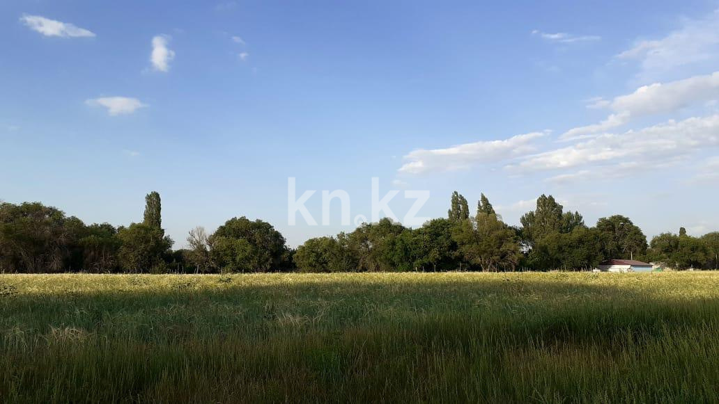 Продажа участка, 635 сот. в Алматинской области - фото 3