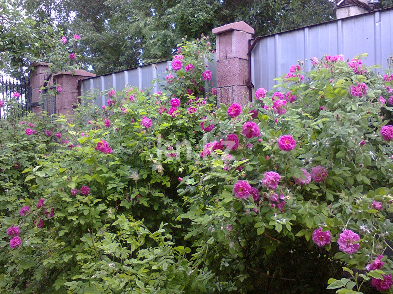 Продажа 4-комнатного дома, 110 м², Кырбалтабай в Алматинской области