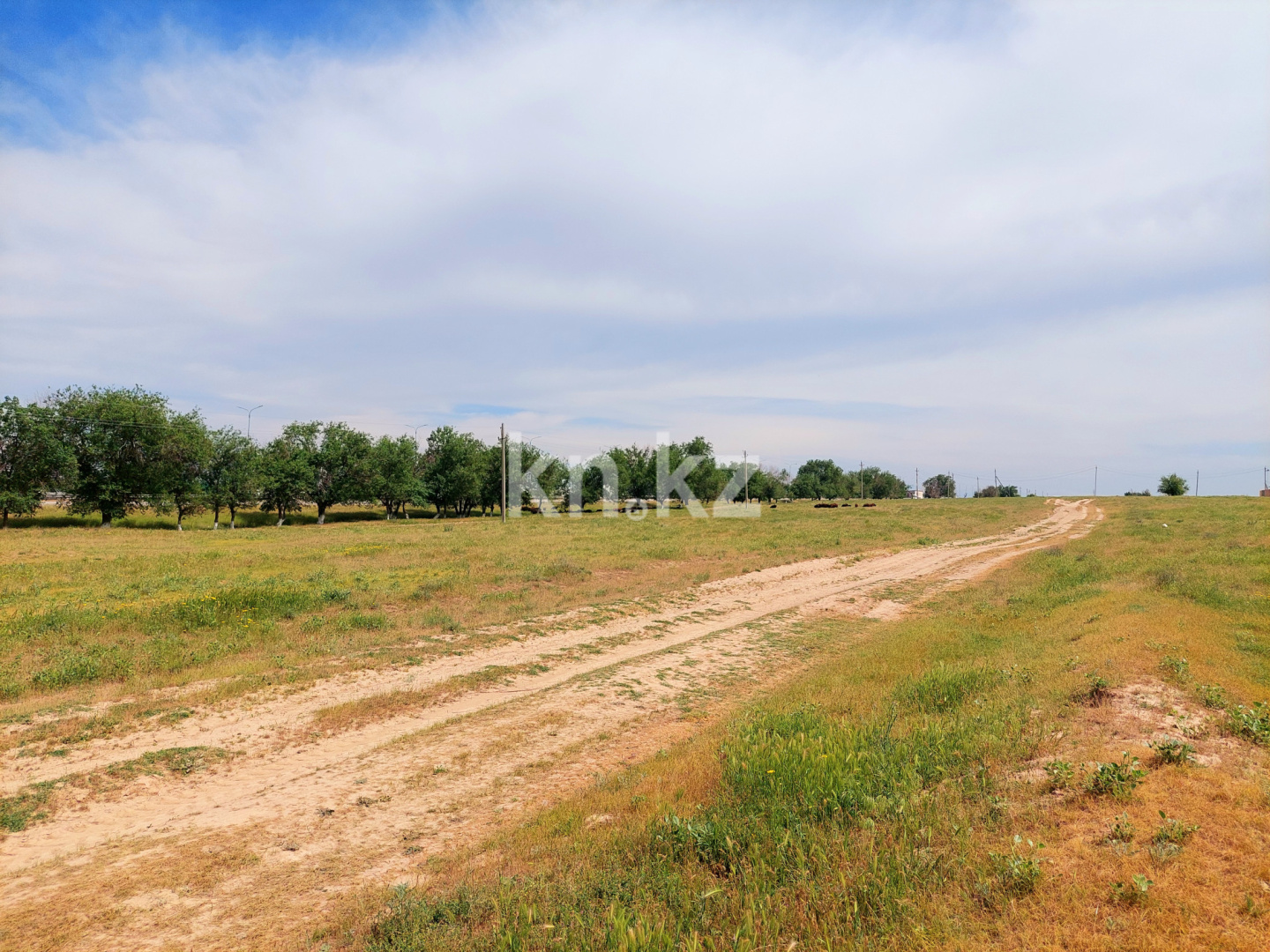 Продажа земельного участка, 3 га, Шубарсу в Шымкенте - фото 23