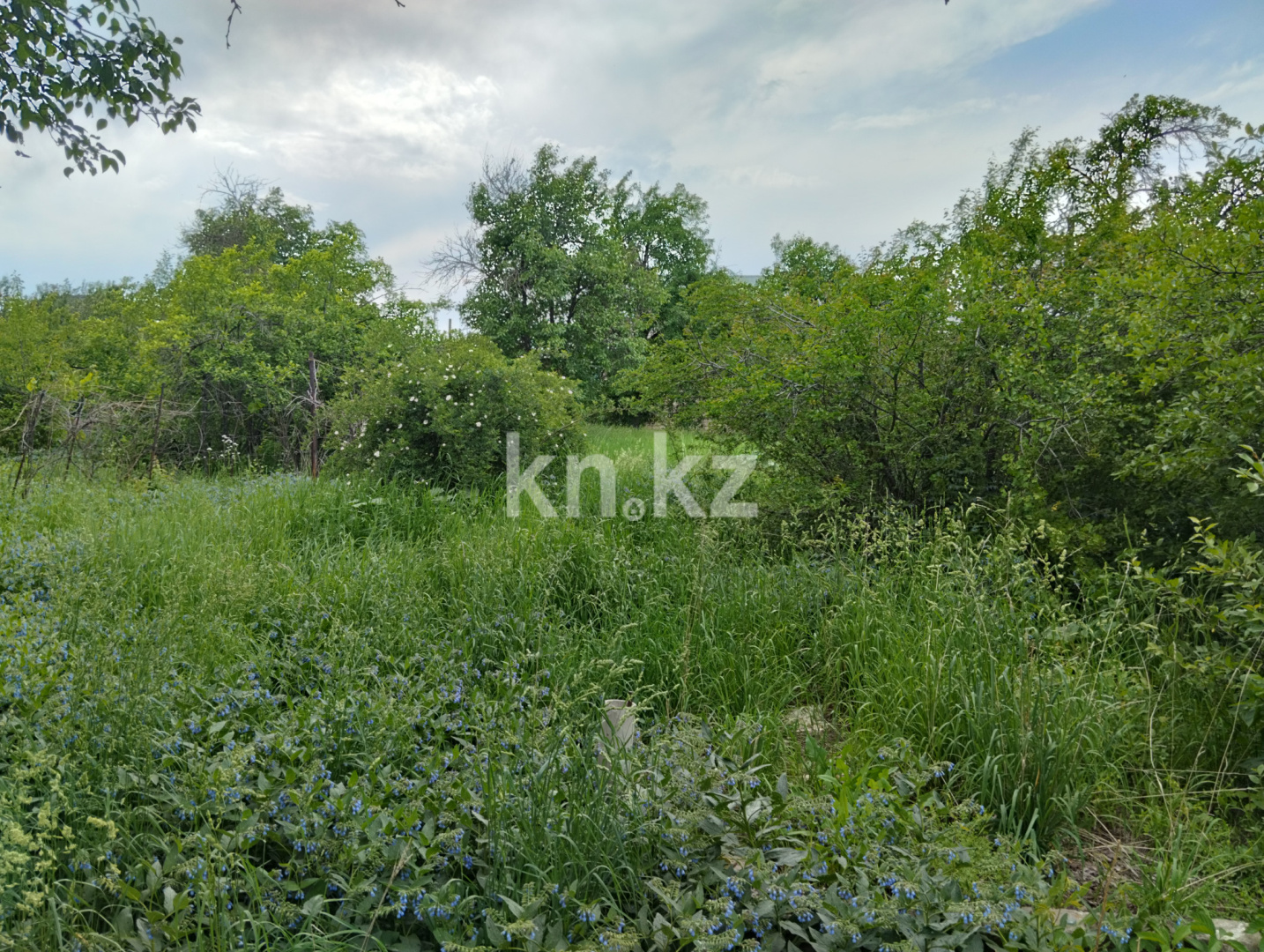 Продажа дачи, 11 сот., Юбилейный с. о. в Алматинской области - фото 26