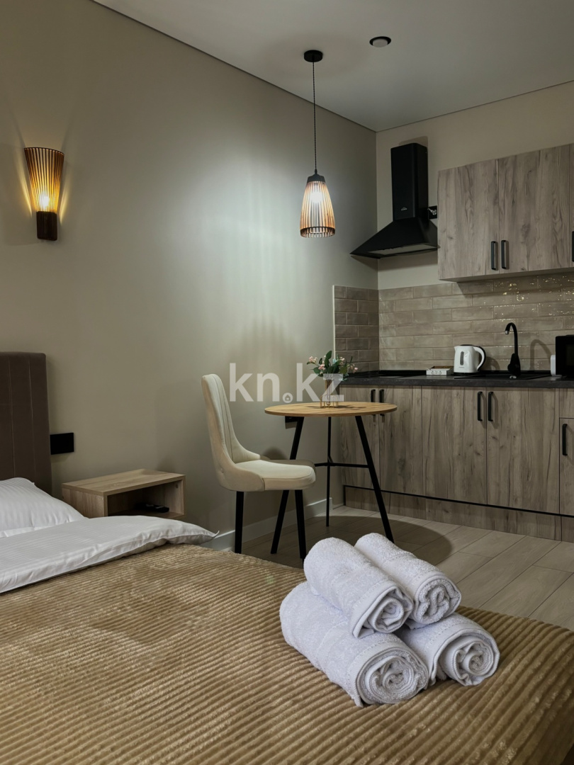 Аренда 1-комнатной квартиры посуточно, 27 м² в Алматинской области - фото 10