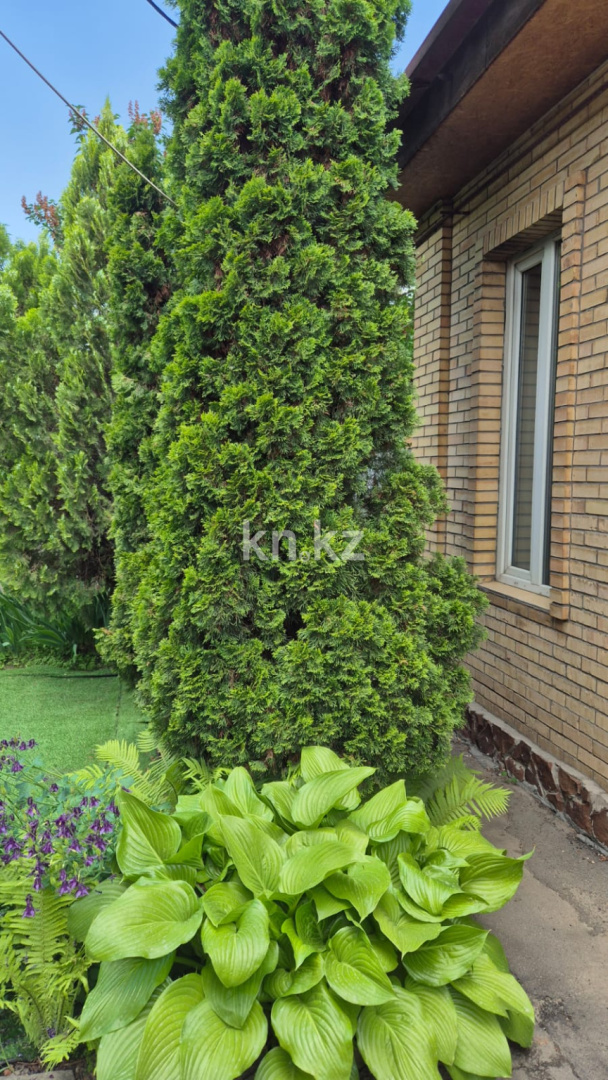 Продажа 4-комнатного дома, 200 м², ул. Омская в Алматы - фото 3