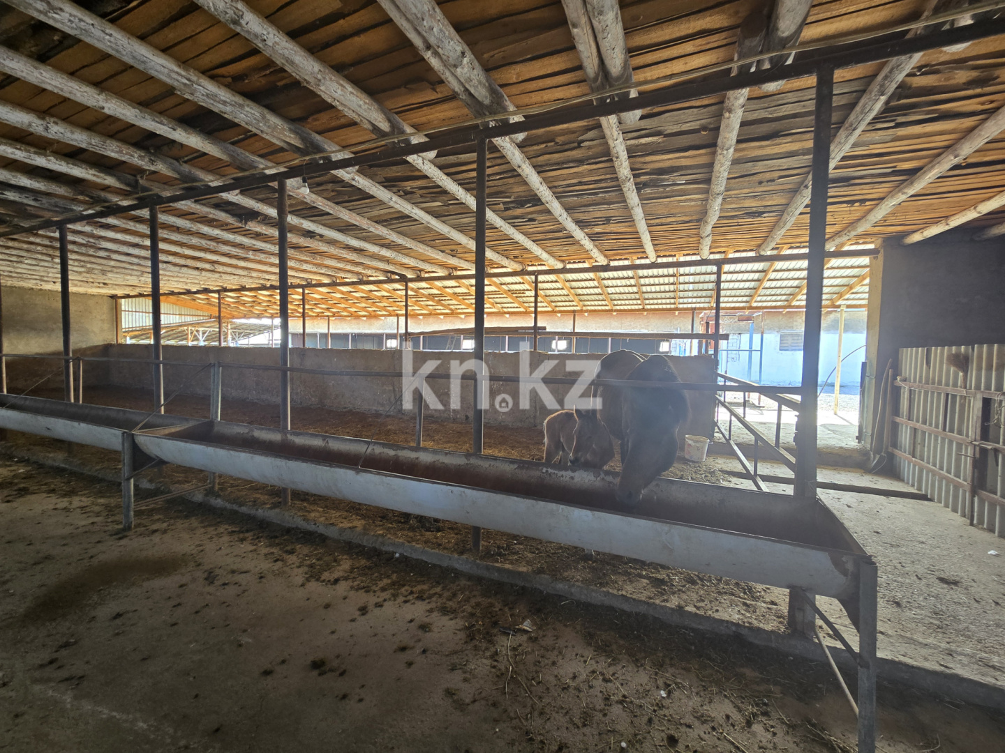 Продажа , 800 м², Касымбек Датка с., дом  111 в Шымкенте - фото 15