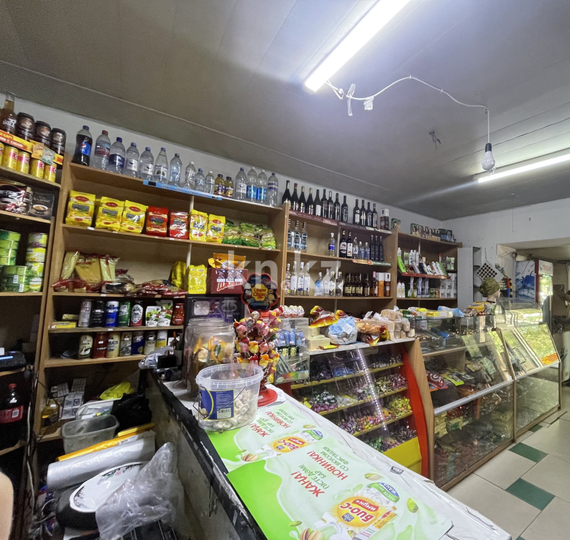 Продажа , 48 м², Рыскулова, дом  58а - ул. Лобачевского в Алматы - фото 5