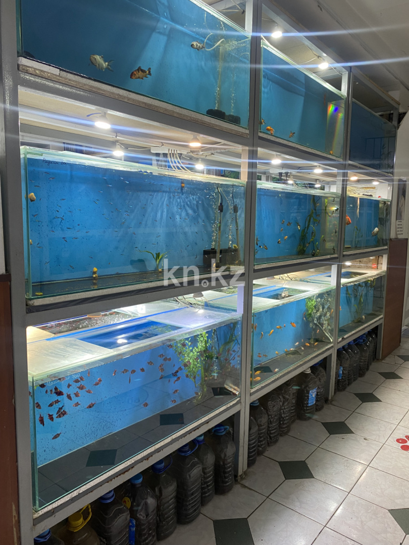 Продажа , 60 м², ул. Казахстанская, дом  22 в Караганде