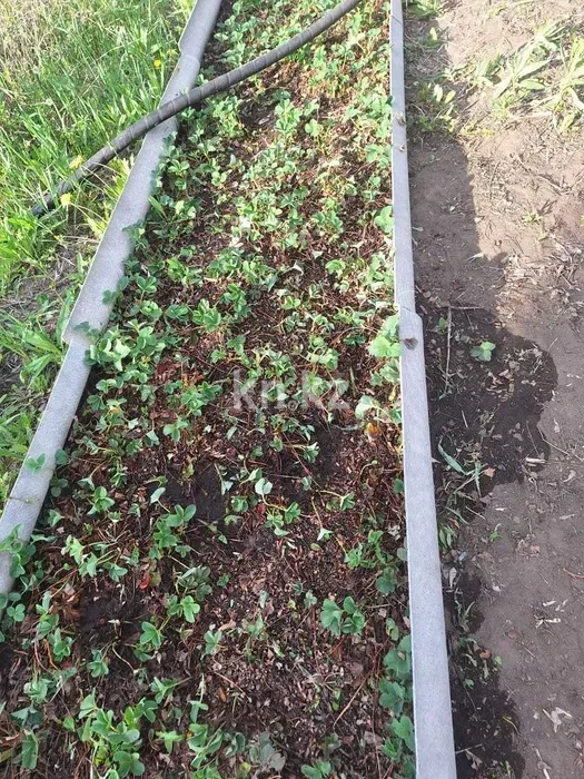 Продажа дачи, 9 сот. в Караганде - фото 15