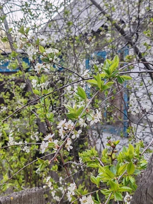 Продажа дачи, 9 сот. в Караганде - фото 10