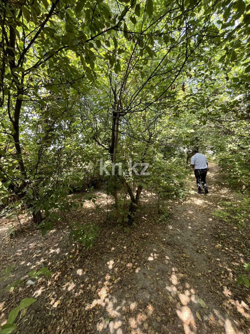 Продажа земельного участка, 22 сот., Маметова в Алматинской области - фото 9