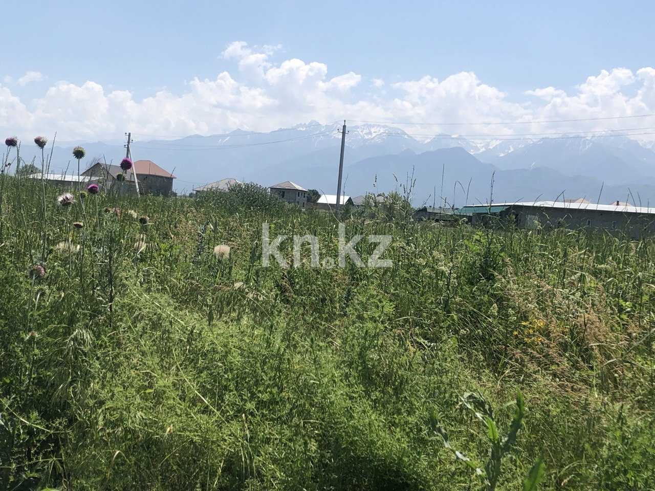 Продажа земельного участка, 144 сот., Алатау в Алматы - фото 2