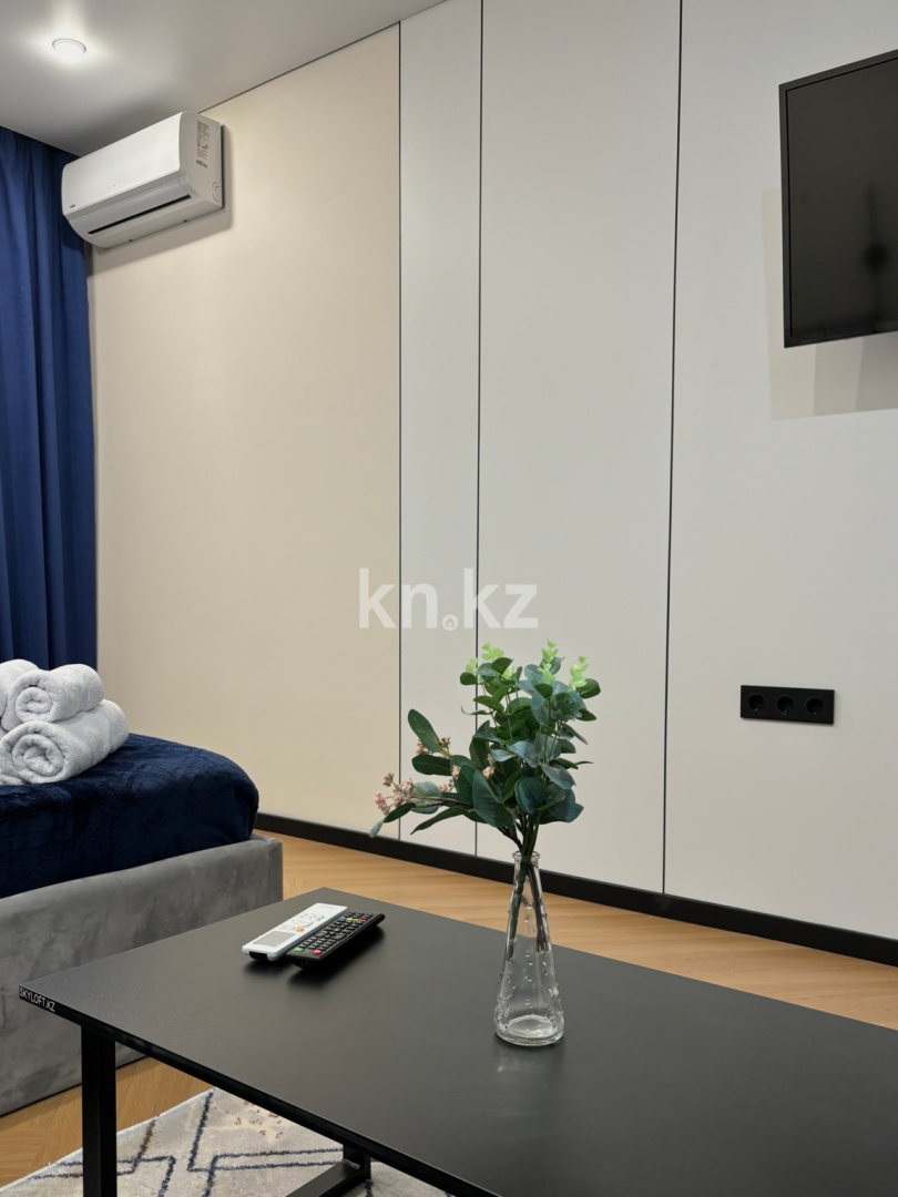 Аренда 1-комнатной квартиры посуточно, 27 м² в Алматинской области - фото 4
