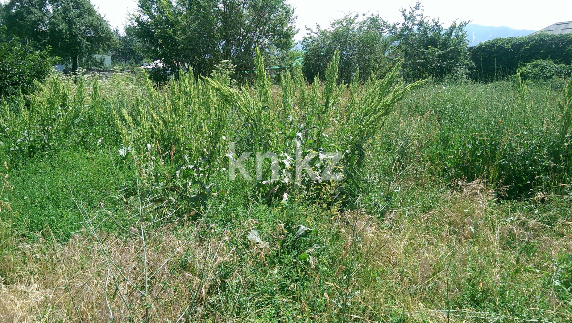 Продажа земельного участка, 20 га, п. Кырбалтабай в Алматинской области