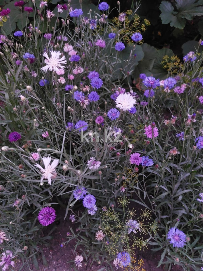 Продажа 4-комнатного дома, 56 м², ул. Жилстроевская, дом  47/2 в Караганде - фото 13