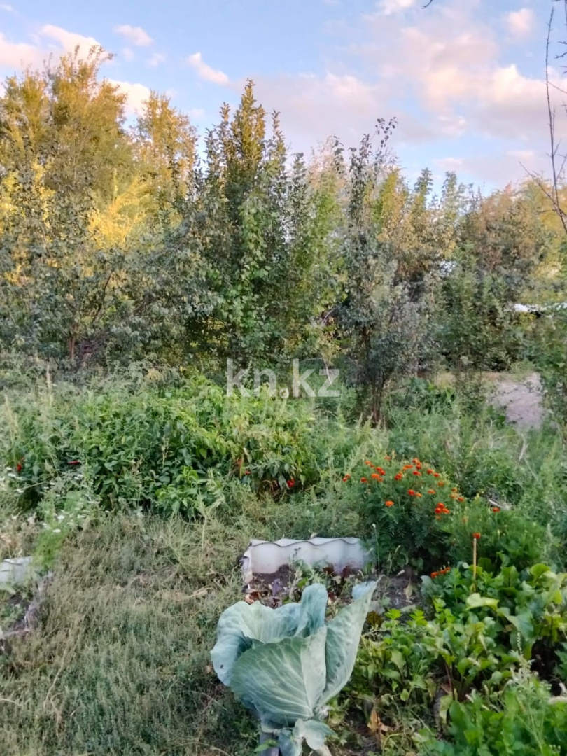 Продажа 3-комнатного дома, 53.6 м² в Усть-Каменогорске - фото 10