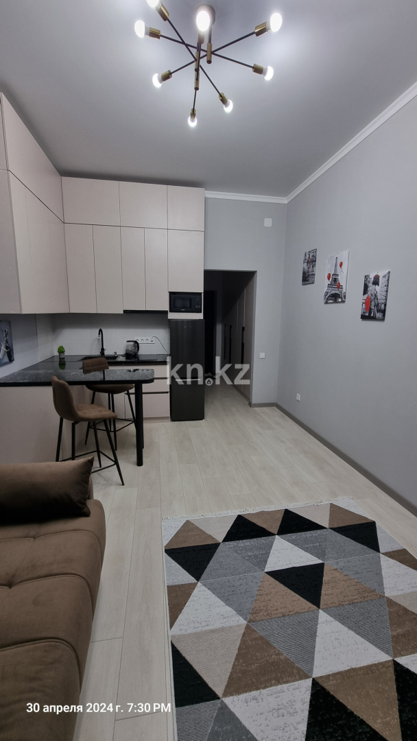 Аренда 1-комнатной квартиры, 29 м², пр. Назарбаева, дом  28а - пр. Райымбека в Алматы - фото 6