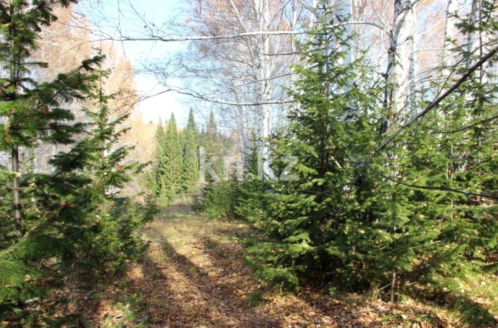 Продажа участка, 1000 м² в Усть-Каменогорске - фото 6