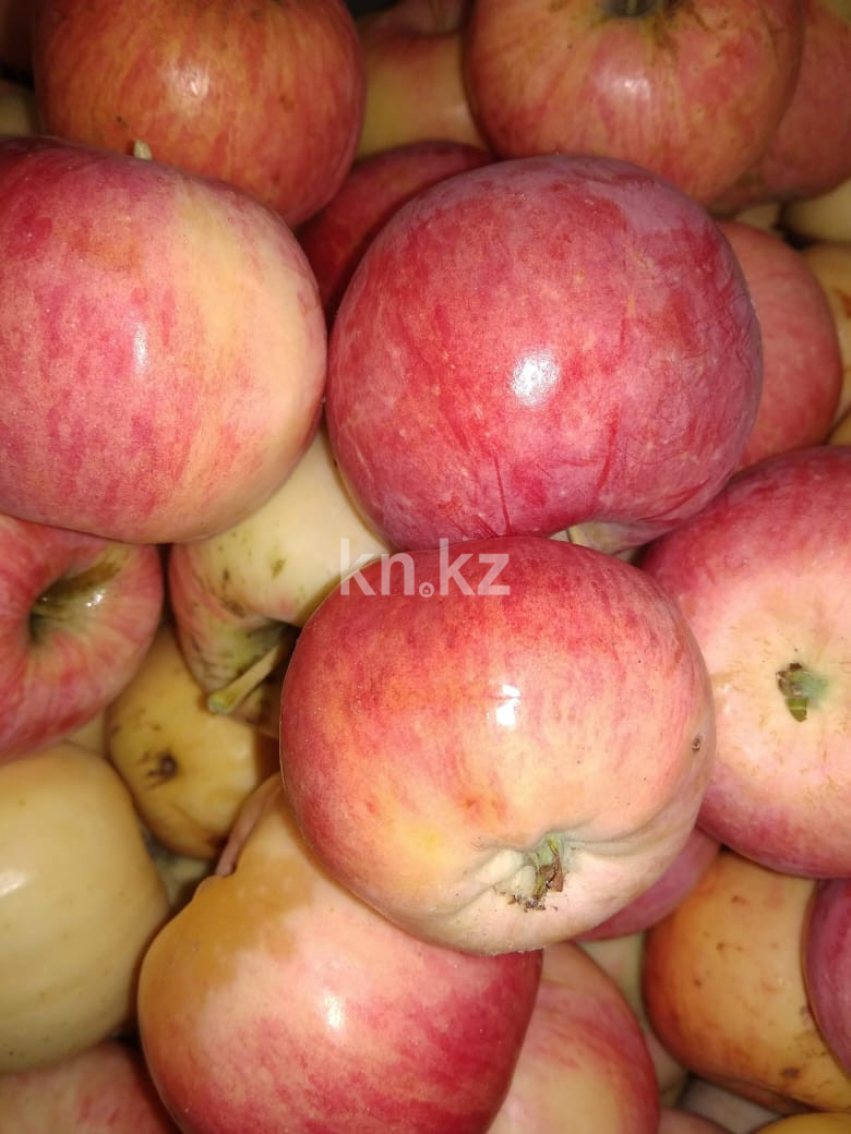 Продажа 3-комнатного дома, 80 м², Сейфуллина, дом  125 в Павлодаре - фото 9