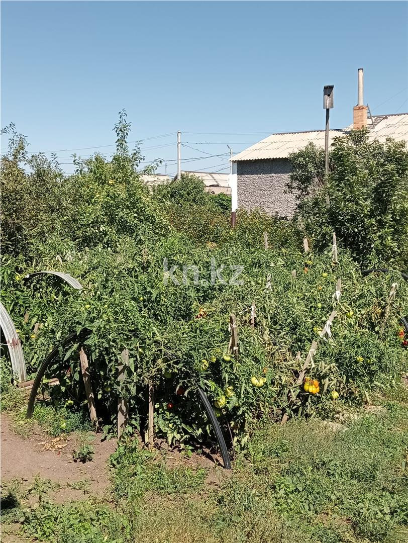 Продажа 3-комнатного дома, 82.8 м², ул. Транспортная в Абае - фото 12