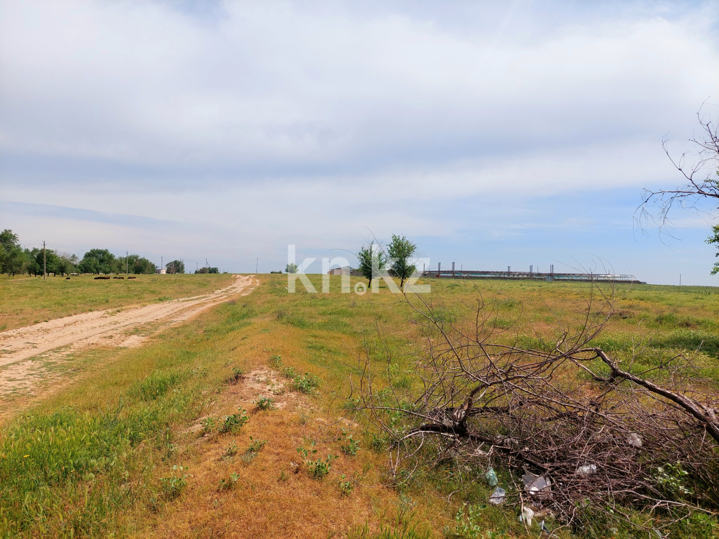 Продажа земельного участка, 3 га, Шубарсу в Шымкенте - фото 22