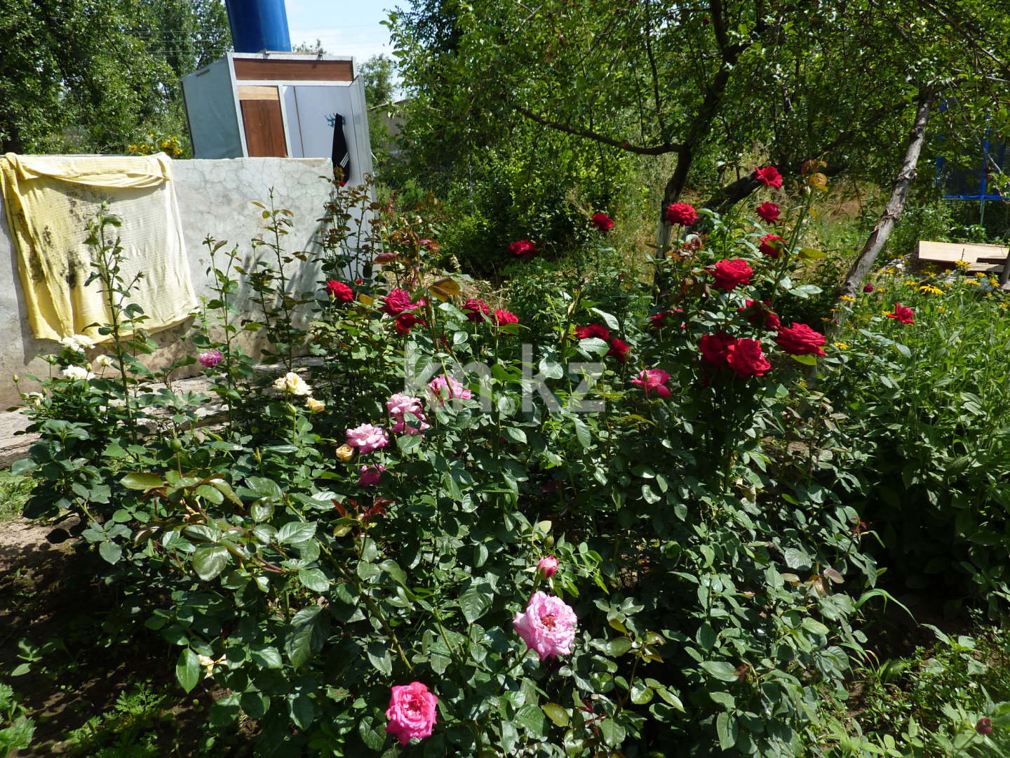 Продажа дачи, 8 сот. в Шымкенте - фото 11