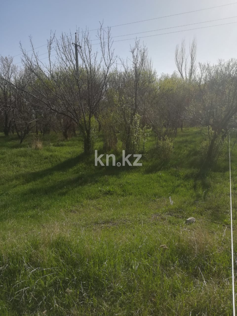 Продажа земельного участка, 50 сот., Азат п. в Алматинской области - фото 3