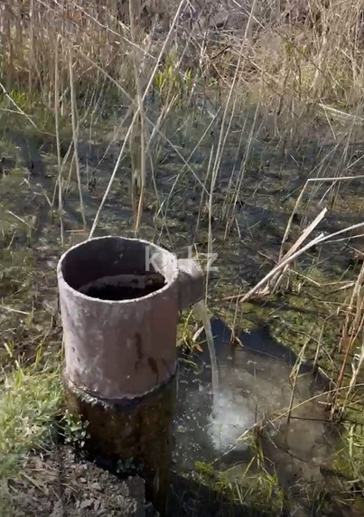 Продажа участка, 81 га в Алматинской области - фото 3