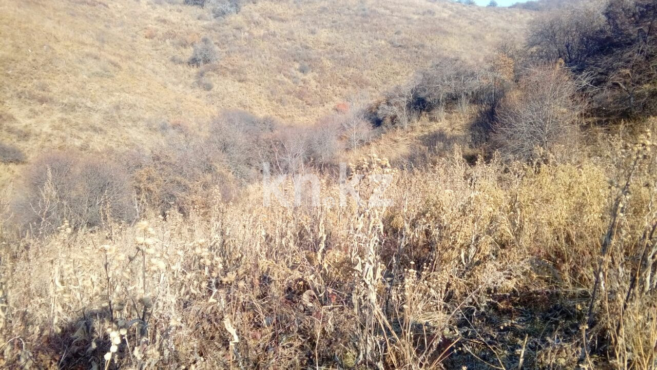 Продажа земельного участка, 1.5 га, МТФ №3 р-н в Алматинской области - фото 2