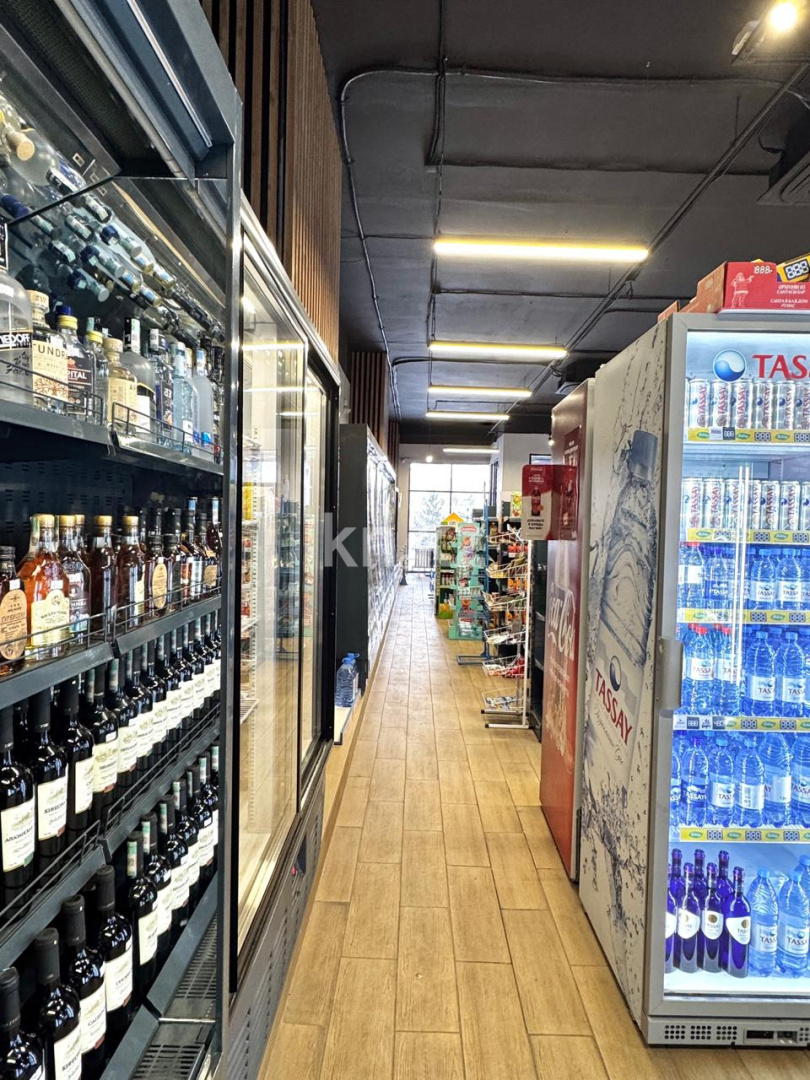 Продажа , 180 м² в Астане - фото 13