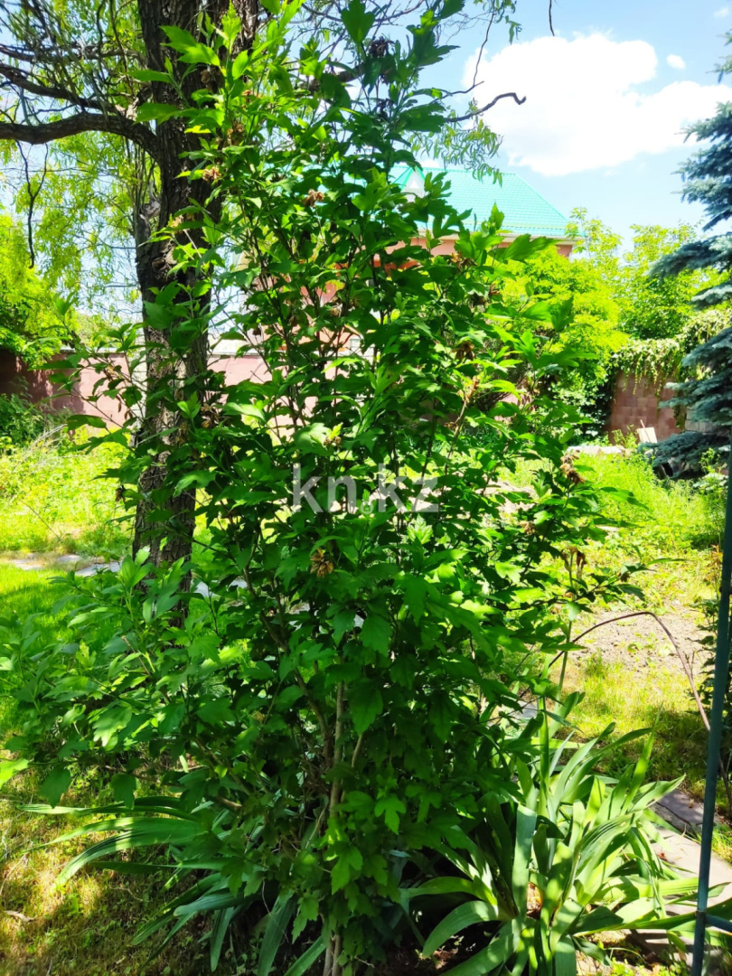 Продажа участка, 16 сот. в Алматы - фото 6