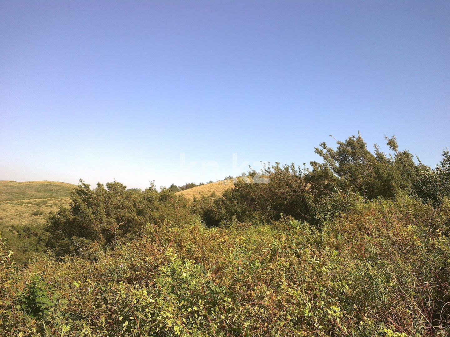 Продажа земельного участка, 28 га, ул. Восточная объездная (ВОАД) в Алматы - фото 3