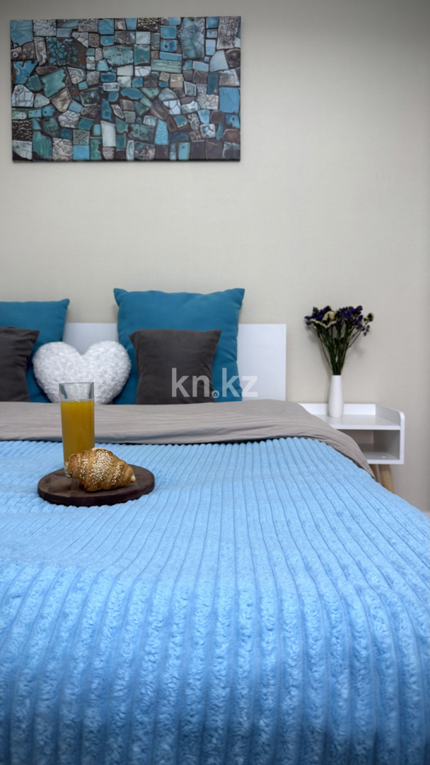 Аренда 2-комнатной квартиры посуточно, 48 м², ул. Егизбаева, дом  7/10 к1 в Алматы - фото 2