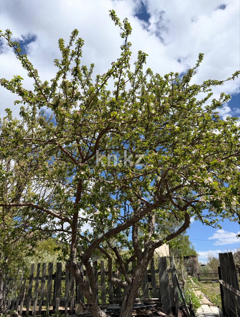 Продажа дачи, 11.4 сот., ул. Озёрная в Темиртау