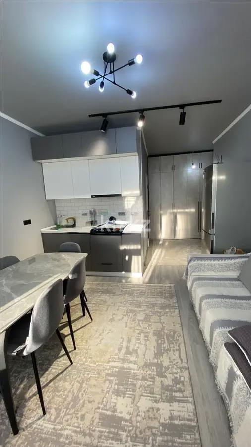 Продажа 1-комнатной квартиры, 27 м², ул. Басаркобыз, дом  1/16 стр в Алматы - фото 2