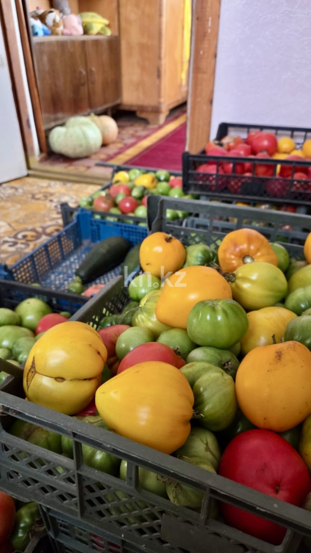 Продажа дачи, 12 сот., Елочка в Караганде - фото 39